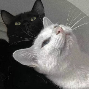 亚洲福利天堂网福利在线观看
